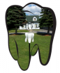 Dr C.P. Giri Dentistry